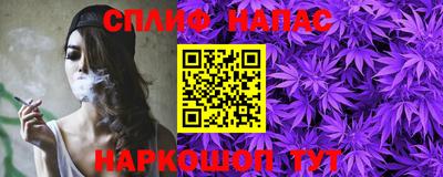 спайс Гагарин