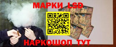 дмт Гатчина