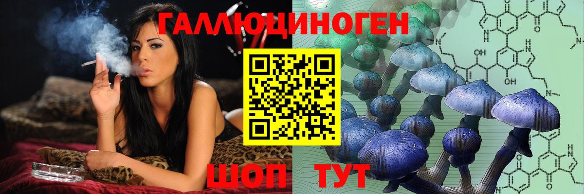 как найти наркотики  Галлюциногенные грибы MAGIC MUSHROOMS  Вход с VPN  Мыски 