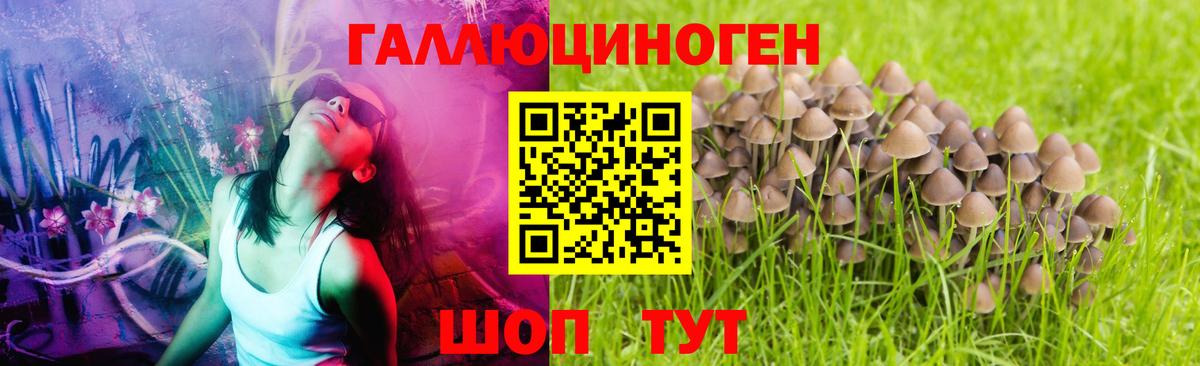 Галлюциногенные грибы мухоморы Мыски